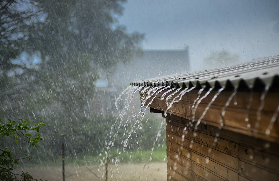 What Homeowners Should Know About Their Gutters: Essential Tips for Roof Longevity